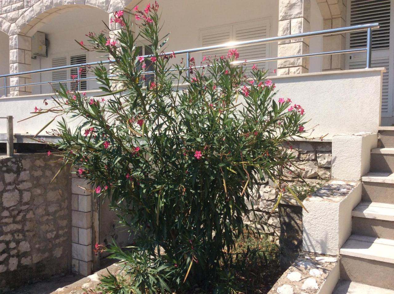 Lux Apartments Korcula Town Exterior photo